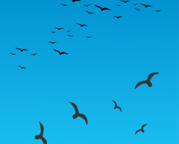 Birds Flying Vector Free