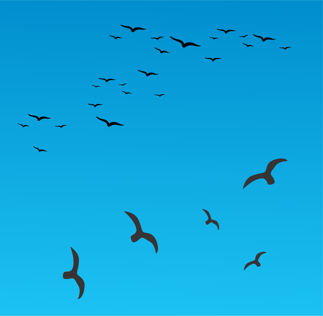 Birds-Flying-Vector-Free