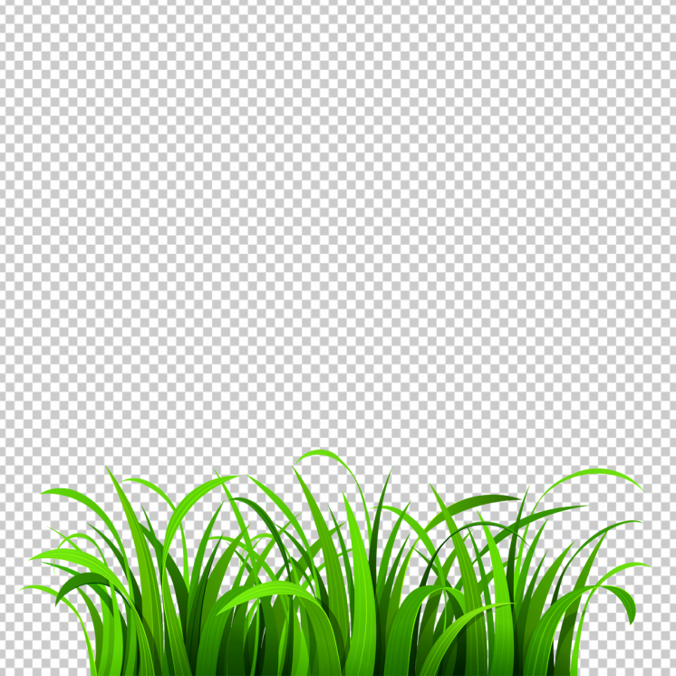 Beautiful_grass_png-picture