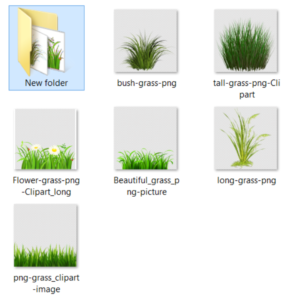 Collection-of-long-grass-png