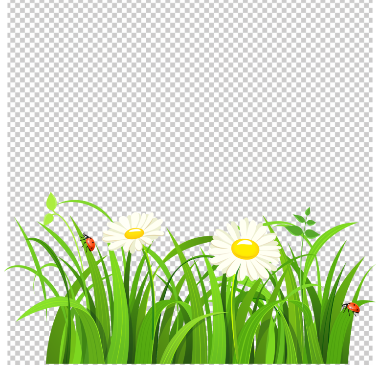 Flower-grass-png-Clipart_long