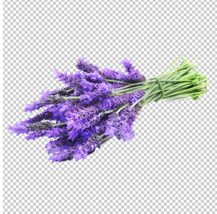 Lavender-Transparent-PNG