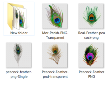 Mor Pankh PNG Peacock Feather