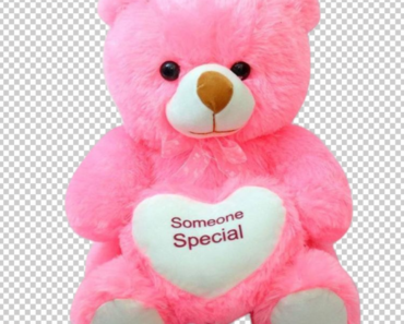 Pink Teddy Bear PNG