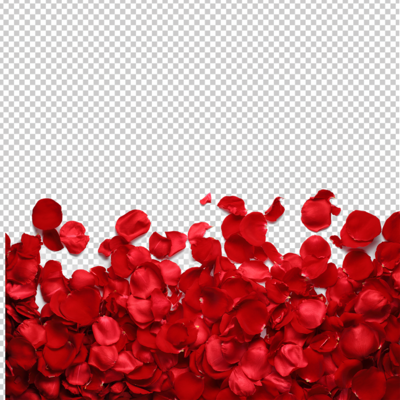 Rose-Patals-Background-png