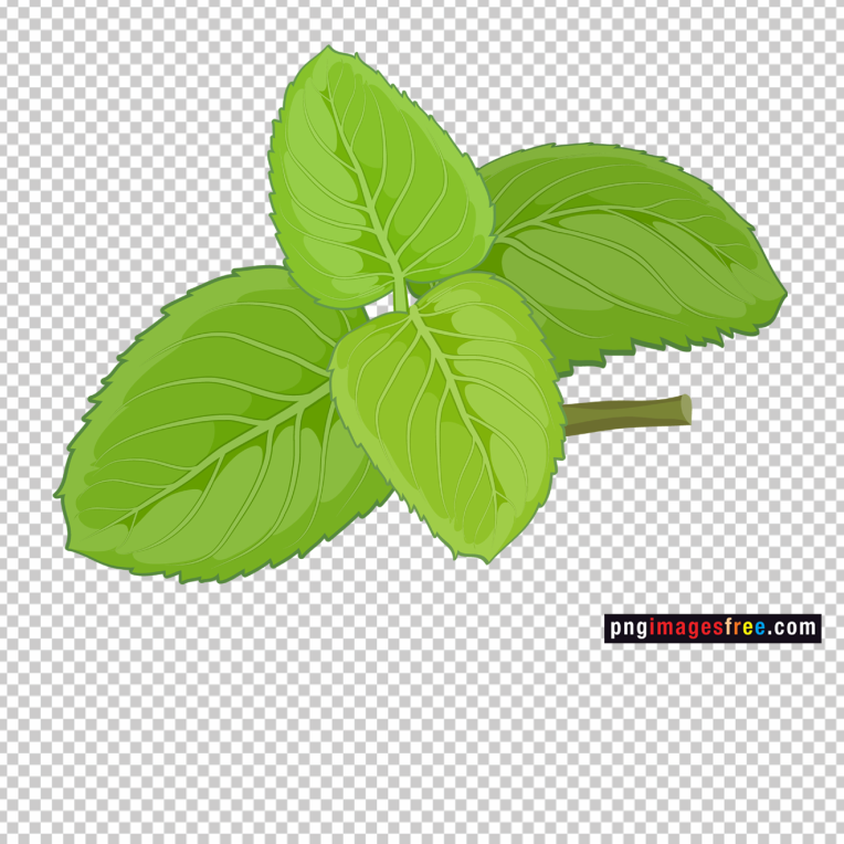 Tulshi-leaf-png