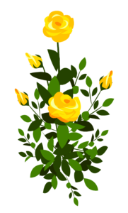 Yellow_Rose_Bush_PNG_Clipart