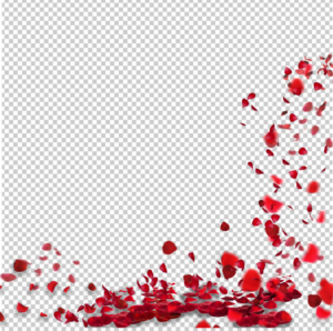 falling-petals-png