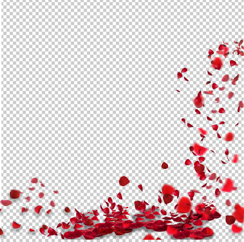 falling-petals-png