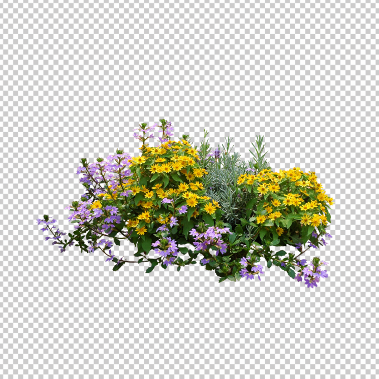 Flower-bush-top-view-png