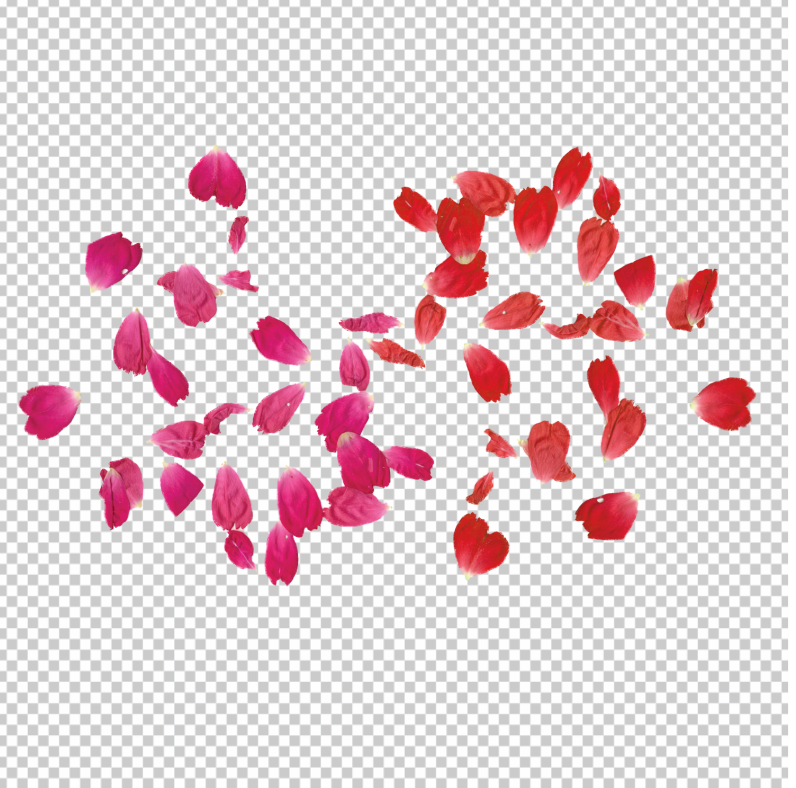 rose_leaves_png_transparent_pink-and-red